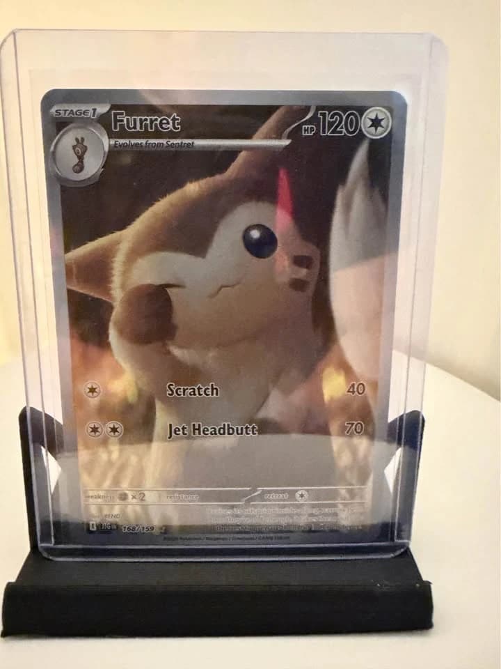 Furret