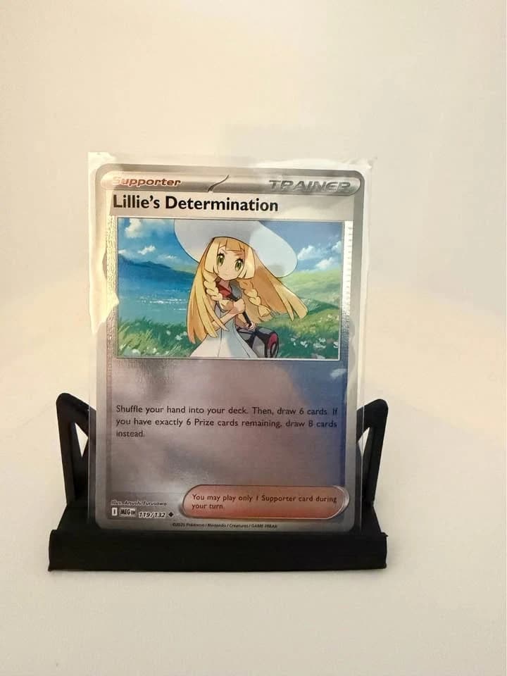 Lillie's Determination Trainer