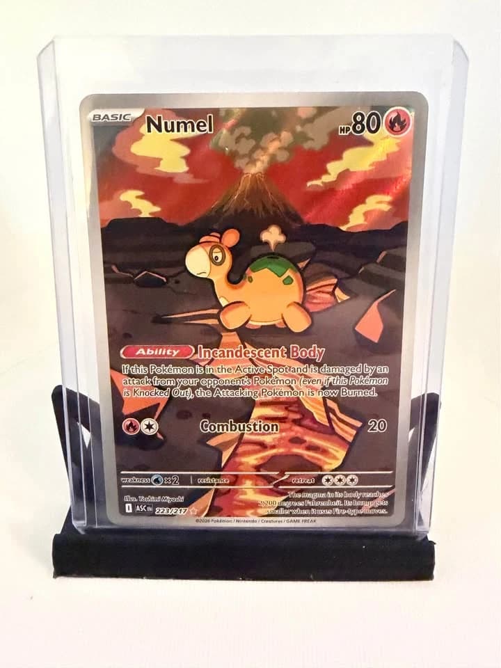 Numel